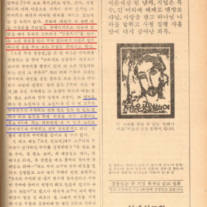 송덕기 주장 택견의 교차검증 여부(기술체계, 손타격, 외래무술 접목 관련) 고찰