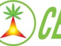 Organic NatureKnit®, 정제 섬유보다 뛰어난 프리바이오틱 효과 입증