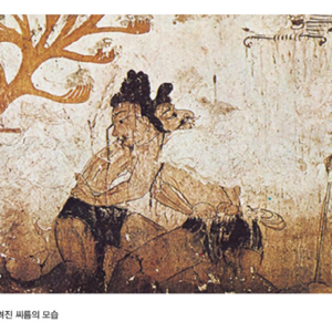 Restoring the Lost Warrior Heritage: INSF Launches Global Network to Bridge Silk Road Martial Traditions