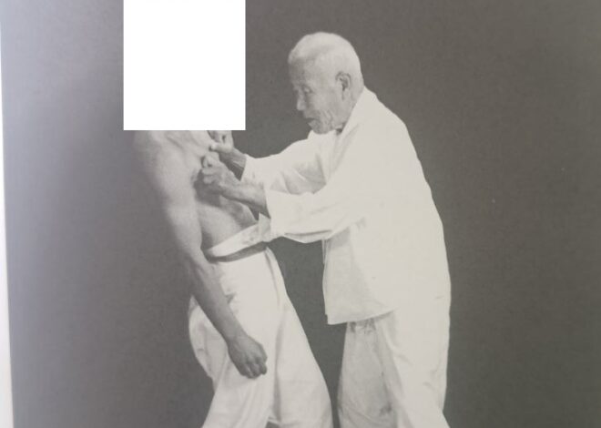 (기획보도) 상대 살점을 뜯어내는 잔인한 민속놀이? 택견?